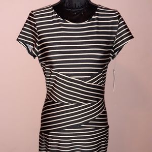 Sophisticated Ladies Dress